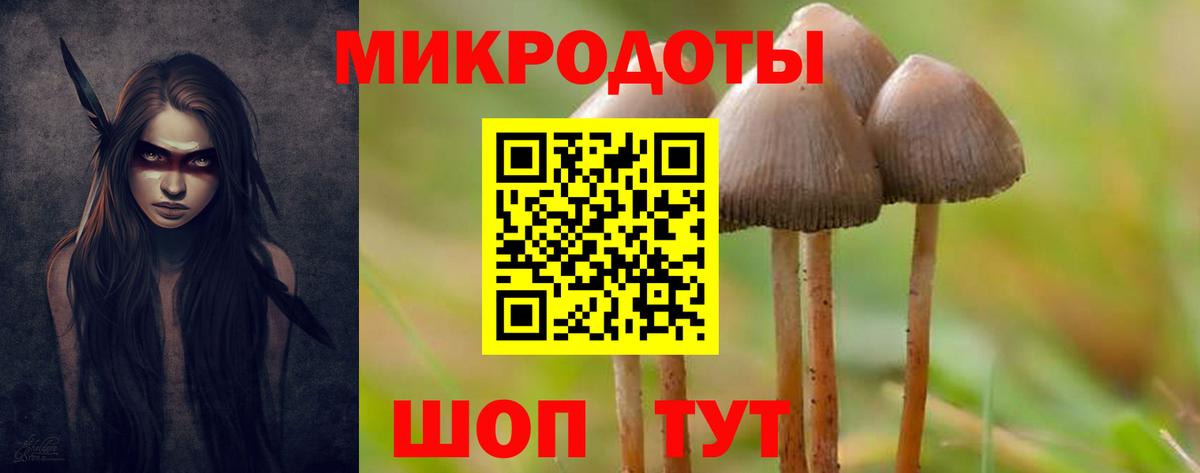 Псилоцибиновые грибы Magic Shrooms  Вход с VPN  Астрахань 